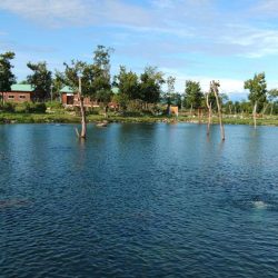 平日はのんびりと ～フィッシングパーク高島の泉～